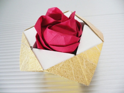 rose in a box