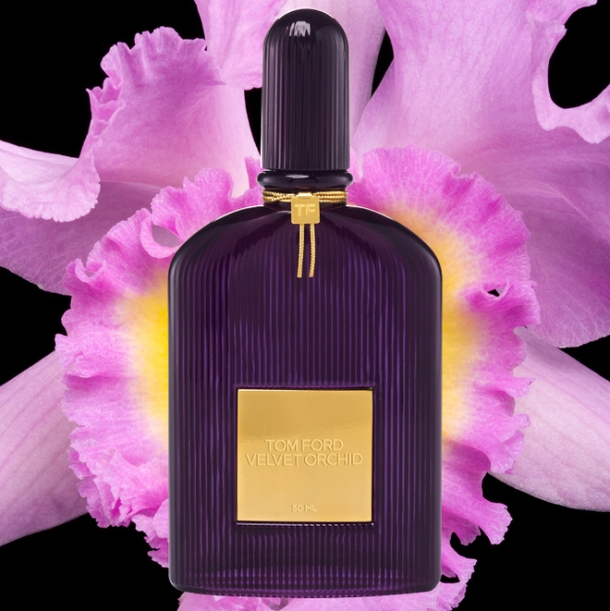 Velvet Orchid | The Scented Hound
